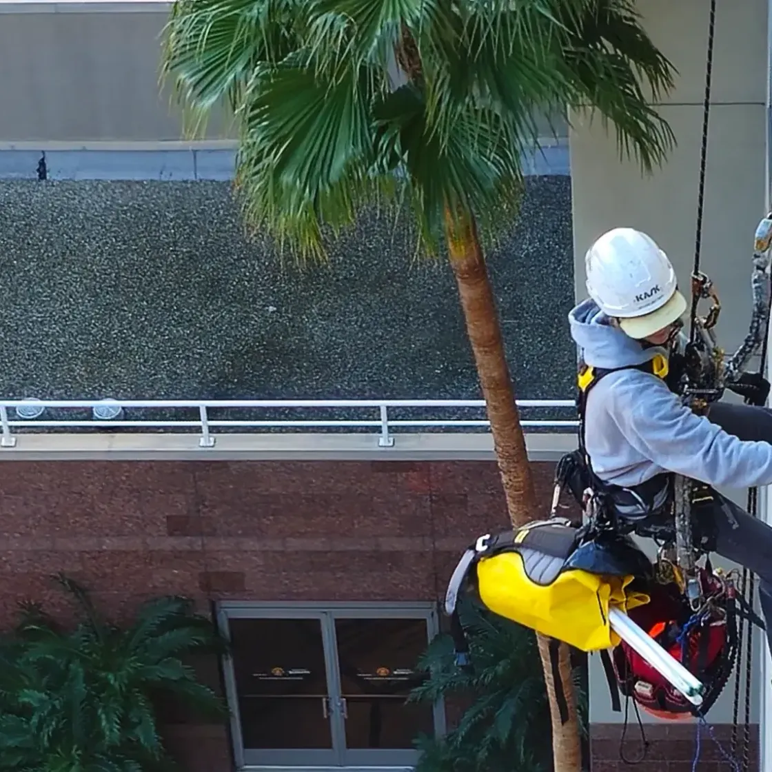Rope Access Over Traditional Methods